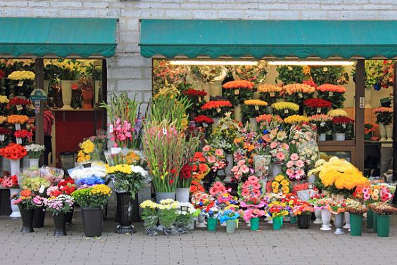 Flowers Sales & Decoration